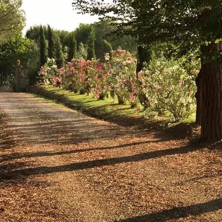 Casale Di Mamma Antonella Holiday home
